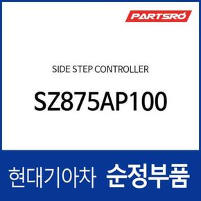 사이드 스텝 컨트롤러 (SZ875AP100) 스타리아