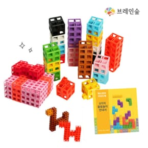 창의력발달 매쓰큐브 100pcs+활동교재 포함/ 소마큐브 가베 수블럭