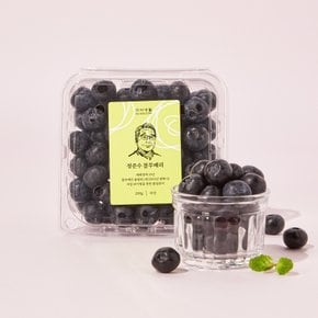 [신선장인] 정준수 블루베리 (200g)