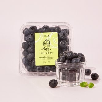 미식생활 [신선장인] 정준수 블루베리 (200g)