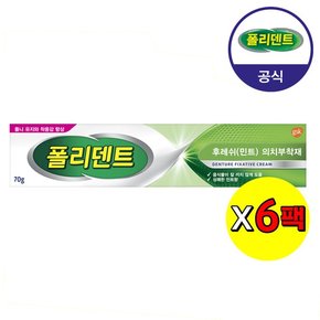 의치 부착재 민트향 70g×6개