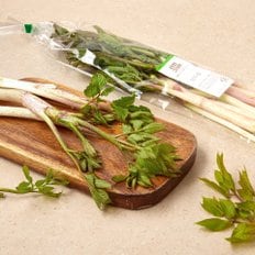  땅두릅 (200g)