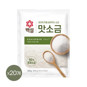 백설 맛소금 250g x20개