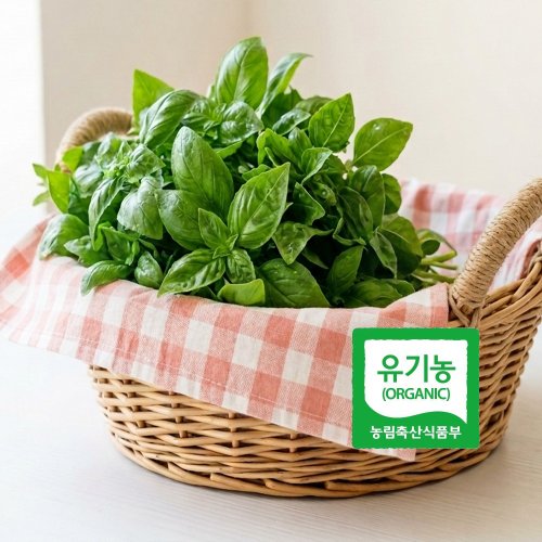 추가1이미지