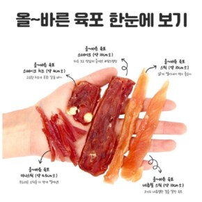 올바른 소프트 육포 사사미 치킨네츄럴스틱 100g x 10개  - (신선한 원료부터 생산까지)