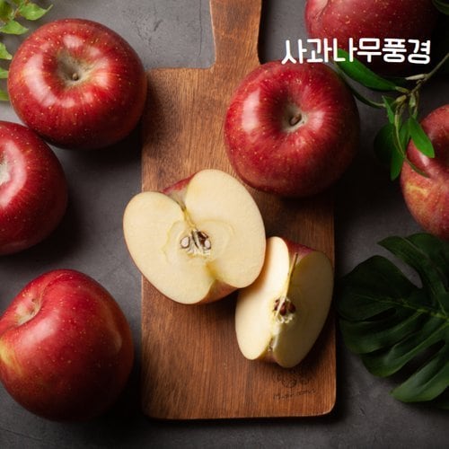 상품이미지1