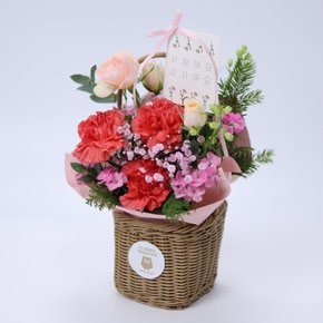 플로리아 카네이션+도라지정과 500 어버이날 스승의날 감사 존경 은혜 축하 생신 기념일 선물 꽃