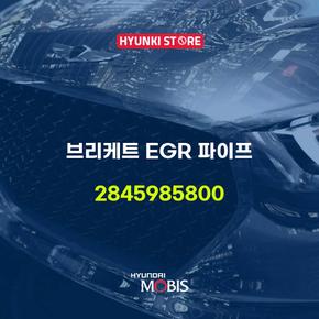 브리케트 EGR 파이프 (2845985800)