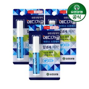 유한양행 유한덴탈케어 메디가글 마우스 스프레이 민트향 6.5ml 3개