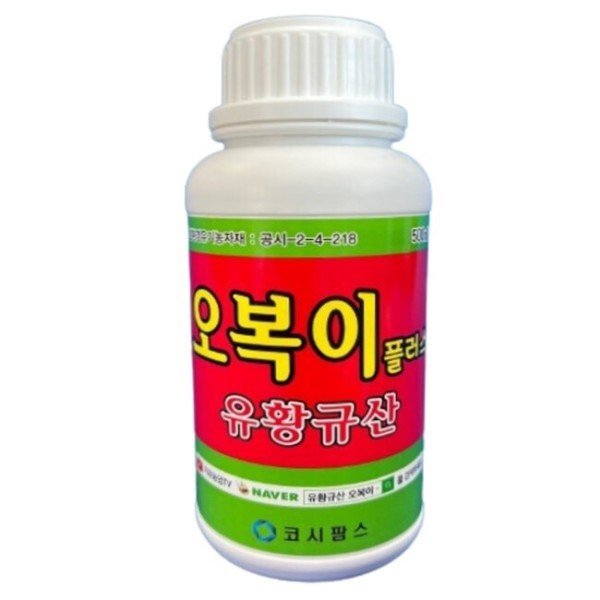 확대된 대표 상품이미지1
