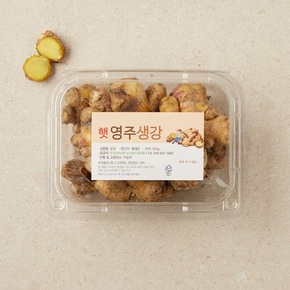 영주 햇 생강 (500g)