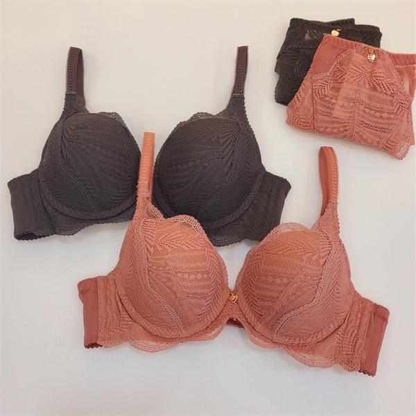 솔브 브라 모아주는 풀컵 브라 큰컵 70F 75F 80F 85F (S9194717) - SSG.COM