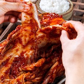 김장철 김치대전