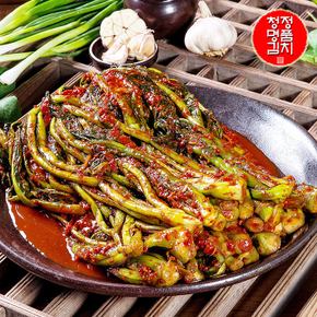 김장철 김치대전