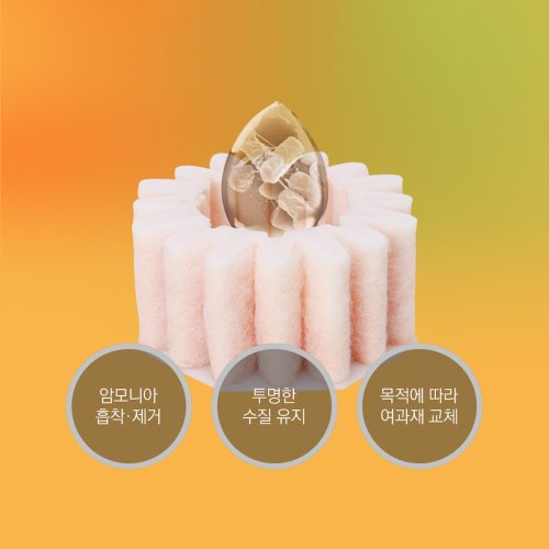 이미지2