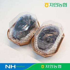 [농협] 거봉1kg(2수)