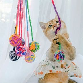 PET 고양이 장난감 공 볼 털실