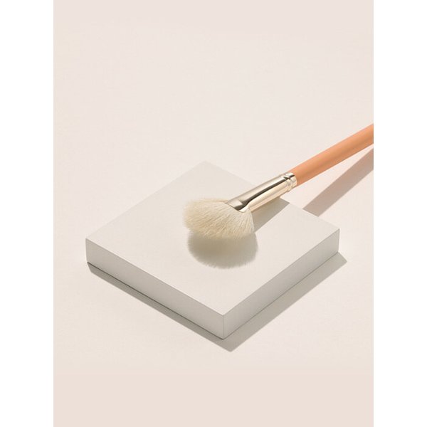 [하이라이터 베스트]더툴랩 160 블러셔 팬