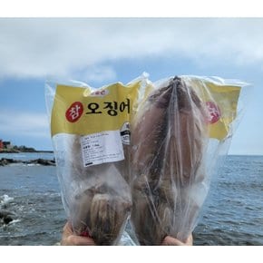 반건조 오징어 10마리 1.4kg