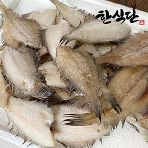 [한식단] 선미수산 손질생선 국내산 반건조 물가자미 500g 반건조생선 강원도 속초