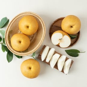 [유명산지] 나주배 가정용 15kg (14-20과) 신고배 나주직송