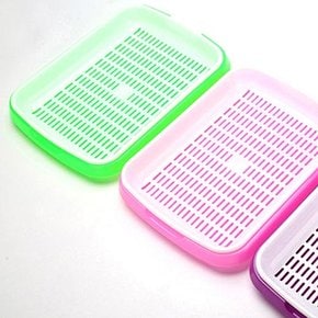 다용도 간편 새싹 재배기 1개(색상랜덤)
