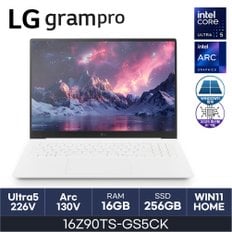 전자 2025 그램 프로16 16Z90TS-GS5CK (WIN11HOME/SSD 256GB/RAM 16GB) HMC