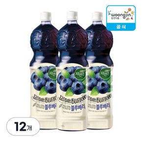 자연은 블루베리 1.5L X 12개[36045935]