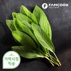 팸쿡 가락시장직송 세이지 10g
