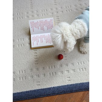 메종드룸룸 소프트 포인트 러그