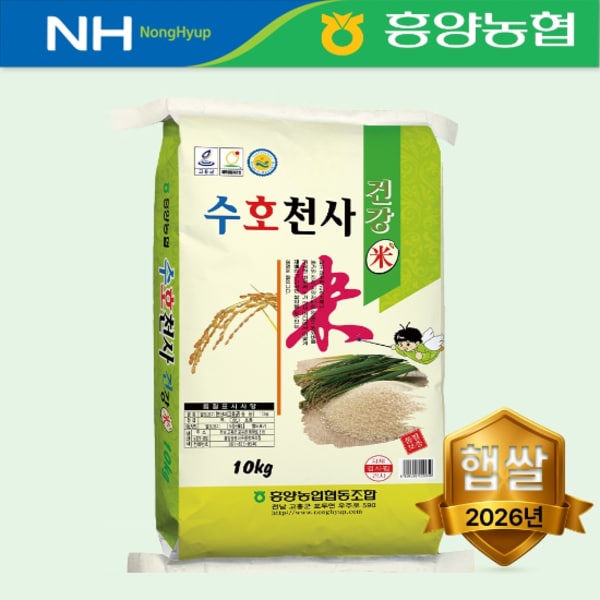 확대된 대표 이미지 P