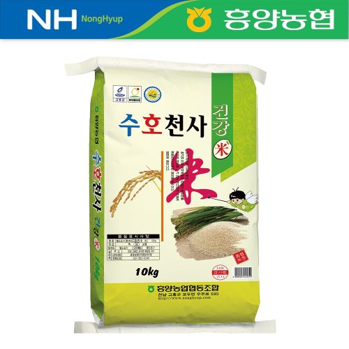 이미지 DP