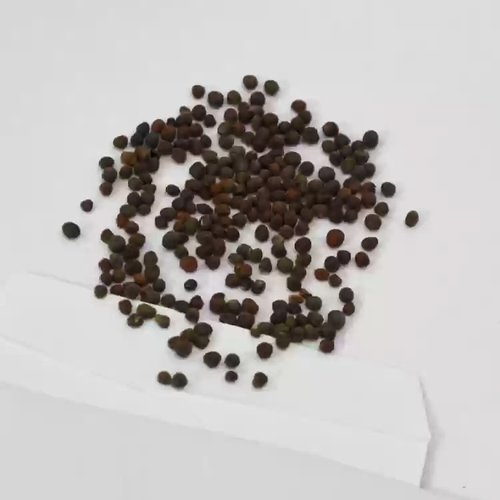 상품이미지2