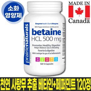 천연 사탕무 추출 베타인 500mg +페퍼민트 120캡슐 소화밸런스 속편한 베타인