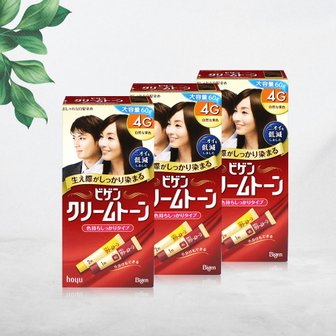 너만아는잡화점 비겐크림톤 염색약 대용량 60g 염모제 자연밤색 4G x 3개