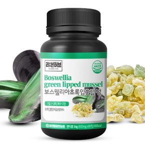 보스웰리아 초록입홍합 정 5개 (600mg x 90정) + 약통 1개