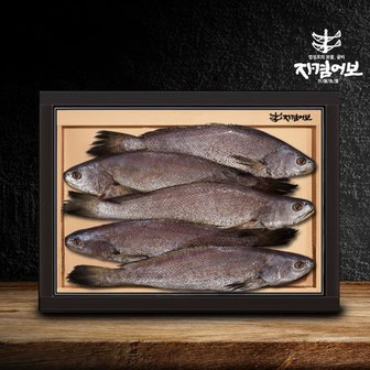 자겸어보 [명절이후배송]제주 민어굴비 선물세트 5미 2.0kg(미당 400g이상/비늘,내장제거)