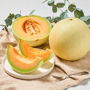 미국산 항공직송 오렌지듀 메론 1통 (1.6kg내외)
