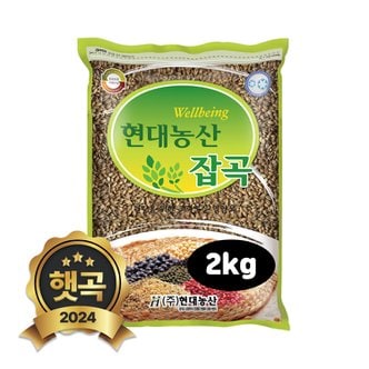 현대농산 2024년 햇곡 국산 흑보리 2kg 검정보리