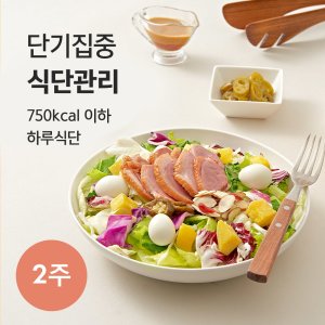 포켓샐러드 2주 단기집중 식단관리 _ 샐러드