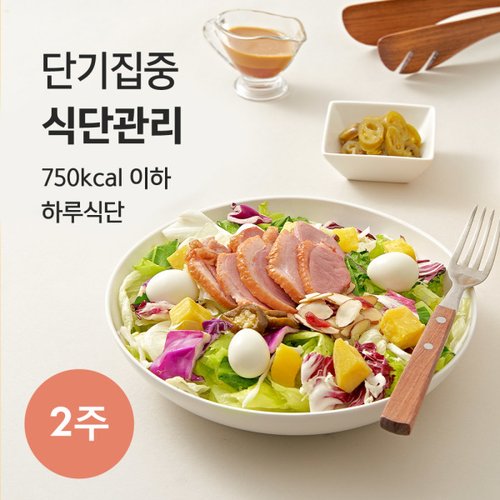 [포켓샐러드] 2주 단기집중 식단관리 _ 샐러드