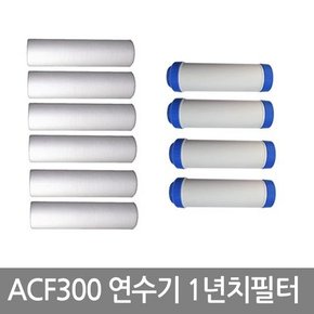 ACF300 1년치 필터