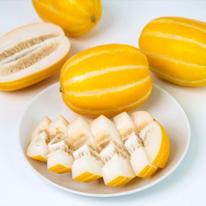 [농협] 한입에 반한 꿀참외 5kg(특/소과20-25과)