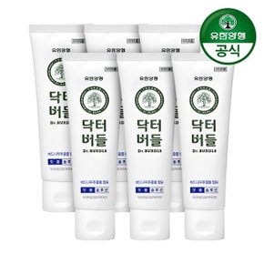 닥터버들 잇몸케어 치약 100g x 6개