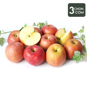 달콤한 과즙가득 국내산 사과 2kg