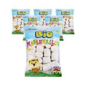 빅 머쉬멜로우 100g x 6개