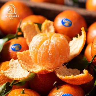 웰굿 프리미엄 미국산 달콤한 만다린 귤 1kg(12-15과)