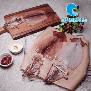 촉촉한 반건조 오징어 1.2kg / 10마리