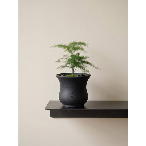 Add Image 4