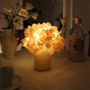 몽실 수국 팟 LED 무드등 - mongceil hydrangea pot LED